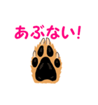 いつも犬と一緒 その1（個別スタンプ：13）