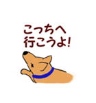 いつも犬と一緒 その1（個別スタンプ：19）