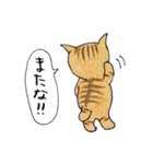 猫のプリ（個別スタンプ：23）