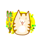 ねこねこにゃー ふたつめ（個別スタンプ：31）