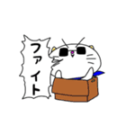 グラサンにゃんこ（個別スタンプ：26）