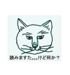 猫！ねこ！ネコ！cat！（個別スタンプ：34）