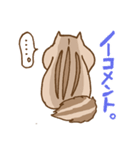 上からシマリス（個別スタンプ：13）