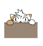 あせねこ（個別スタンプ：4）