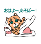 ねこのまるまると遊ぼう（個別スタンプ：1）