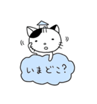 くもねこ（個別スタンプ：15）