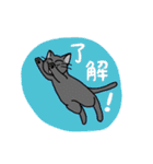 了解猫（個別スタンプ：4）