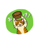 了解猫（個別スタンプ：8）