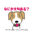 犬まみれ40犬種スタンプ（個別スタンプ：22）