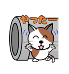 ねこっポチ（個別スタンプ：5）