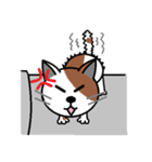 ねこっポチ（個別スタンプ：8）