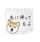 毎日使える～！柴犬さんの連絡スタンプ（個別スタンプ：7）