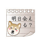 毎日使える～！柴犬さんの連絡スタンプ（個別スタンプ：8）