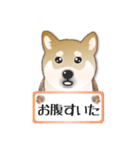 毎日使える～！柴犬さんの連絡スタンプ（個別スタンプ：18）