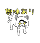 困った顔に見えるねこ（個別スタンプ：1）