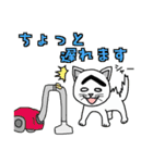 困った顔に見えるねこ（個別スタンプ：6）