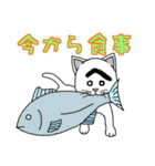 困った顔に見えるねこ（個別スタンプ：12）