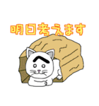 困った顔に見えるねこ（個別スタンプ：13）