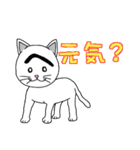 困った顔に見えるねこ（個別スタンプ：15）