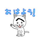 困った顔に見えるねこ（個別スタンプ：21）