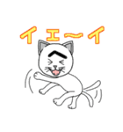 困った顔に見えるねこ（個別スタンプ：34）