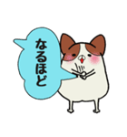 吹き出しわんこ（個別スタンプ：10）