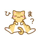 ねここさん3（個別スタンプ：11）