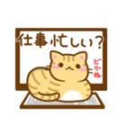 ねここさん3（個別スタンプ：15）