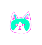 Cat Expression（個別スタンプ：2）