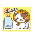 みかんネコ（個別スタンプ：37）