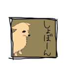 ポメラニアンのぽんすけ（個別スタンプ：31）