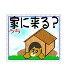 笑顔で癒やす笑い犬のメッセージスタンプ（個別スタンプ：3）