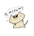 ”だめねこけいぴ～”の北九州ライフ♪（個別スタンプ：31）