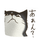 おちゃめ猫とイケメン猫（個別スタンプ：17）