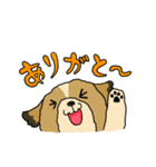 愛犬うめちゃん（個別スタンプ：5）