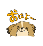 愛犬うめちゃん（個別スタンプ：7）