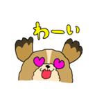 愛犬うめちゃん（個別スタンプ：9）