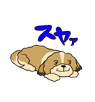 愛犬うめちゃん（個別スタンプ：14）