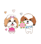 Shih Tzu Couple YaYa ＆ YoYo（個別スタンプ：1）