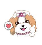 Shih Tzu Couple YaYa ＆ YoYo（個別スタンプ：2）