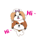 Shih Tzu Couple YaYa ＆ YoYo（個別スタンプ：3）