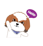 Shih Tzu Couple YaYa ＆ YoYo（個別スタンプ：4）