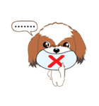 Shih Tzu Couple YaYa ＆ YoYo（個別スタンプ：5）