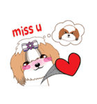 Shih Tzu Couple YaYa ＆ YoYo（個別スタンプ：6）