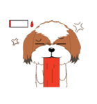 Shih Tzu Couple YaYa ＆ YoYo（個別スタンプ：8）