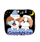 Shih Tzu Couple YaYa ＆ YoYo（個別スタンプ：9）