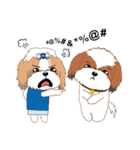 Shih Tzu Couple YaYa ＆ YoYo（個別スタンプ：12）