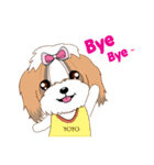 Shih Tzu Couple YaYa ＆ YoYo（個別スタンプ：13）