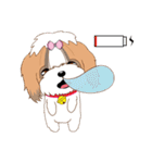 Shih Tzu Couple YaYa ＆ YoYo（個別スタンプ：16）