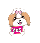 Shih Tzu Couple YaYa ＆ YoYo（個別スタンプ：17）